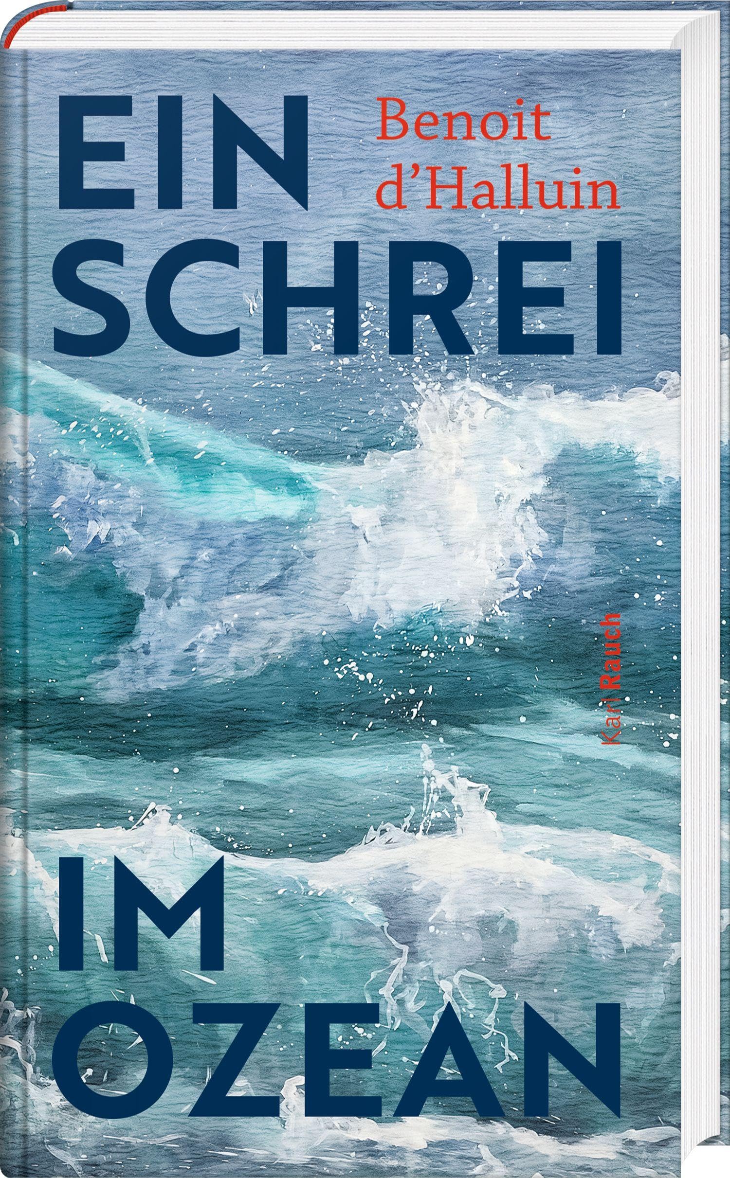 Ein Schrei im Ozean